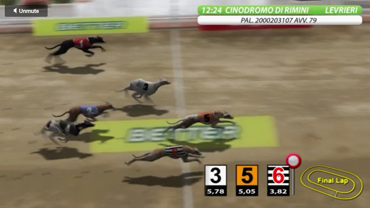 scommesse_virtuali_levrieri